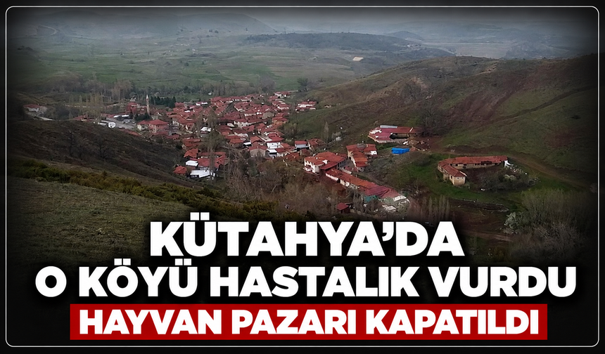 Kütahya'da o köyü hastalık vurdu: Merkez Canlı Hayvan Pazarı kapatıldı