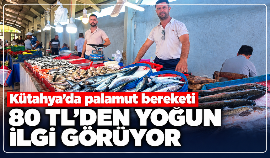 Kütahya'da palamut bereketi: Kilosu 80 - 100 TL'den kapışılıyor