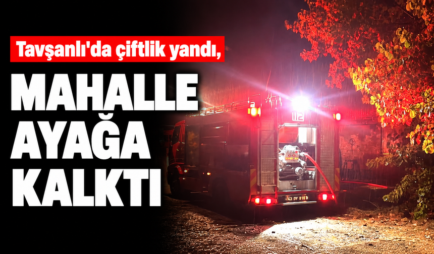 Tavşanlı'da çiftlik alevler içinde kaldı, mahalle ayağa kalktı