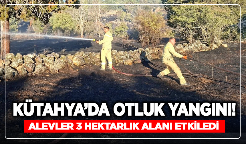 Kütahya’da Otluk Yangını! Alevler 3 Hektarlık Alanı Etkiledi