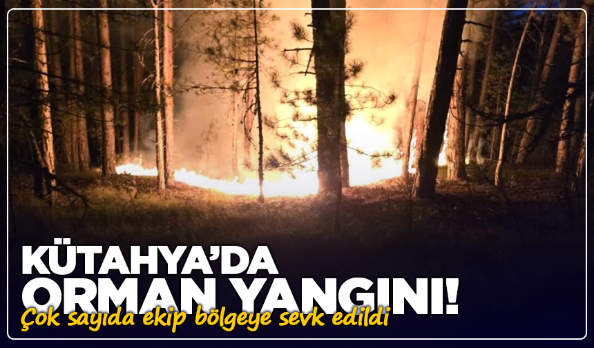 Kütahya’da orman yangını! Çok sayıda ekip bölgeye sevk edildi