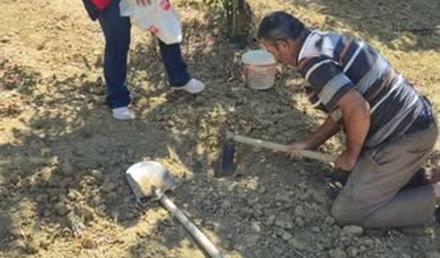 Pazarlar'da tarımda verimi artırmak için toprak analizi çalışmaları gerçekleştirildi
