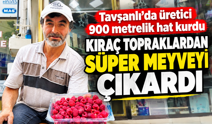 Tavşanlı'da üretici 900 metrelik hat kurdu: Kıraç topraklardan süper meyveyi çıkardı