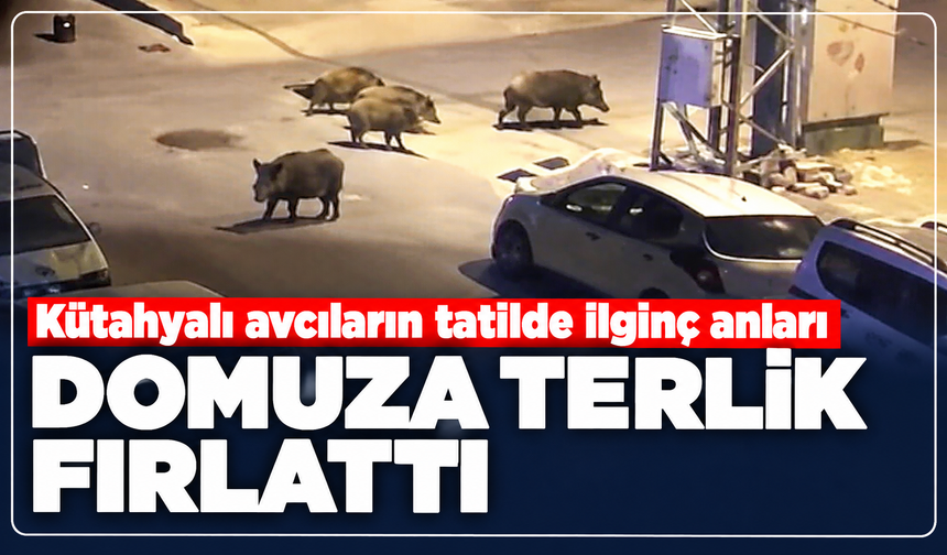 Kütahyalı avcıların Marmaris tatilinde ilginç anları: Terlikle domuz kovaladılar