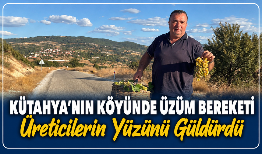Kütahya'da üzüm bereketi üreticinin yüzünü güldürdü
