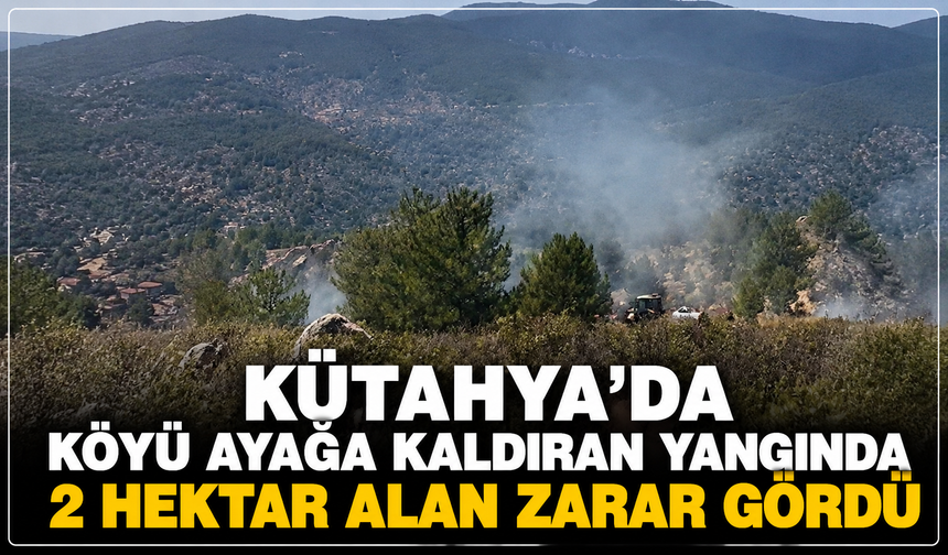 Kütahya'da köyü ayağa kaldıran korkunç yangının bilançosu belli oldu