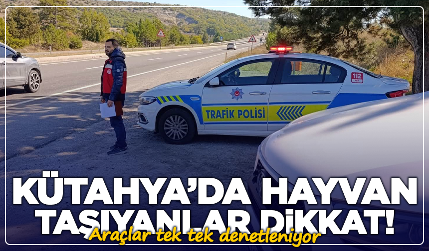 Kütahya’da hayvan taşıyanlar dikkat! Araçlar tek tek denetleniyor