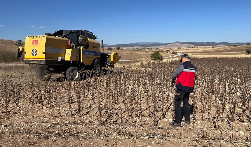 Aslanapa'da ayçiçeği hasat kontrolleri gerçekleştirildi