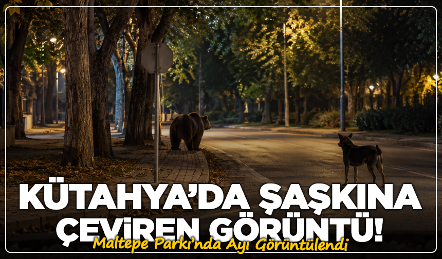 Kütahya’da Ayı Şoku! Maltepe Parkı’nda Görüntülendi