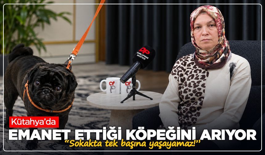 Kütahya’da emanet ettiği köpeğini arıyor: “Sokakta tek başına yaşayamaz!”