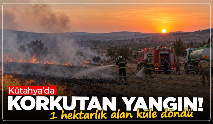 Kütahya’da korkutan yangın! 1 hektarlık alan küle döndü