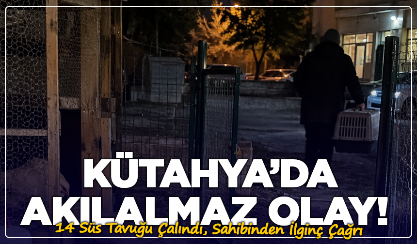 Kütahya’da Akılalmaz Olay! 14 Süs Tavuğu Çalındı, Sahibinden İlginç Çağrı