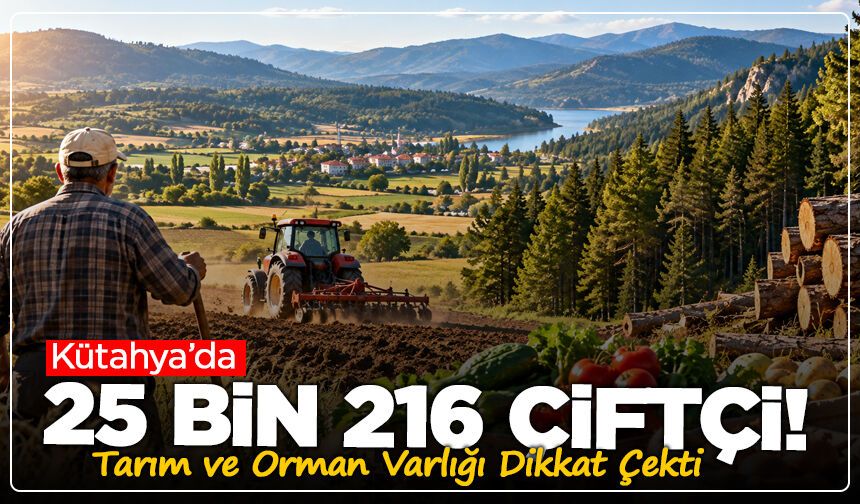 Kütahya’da 25 Bin 216 Çiftçi! Tarım ve Orman Varlığı Dikkat Çekti