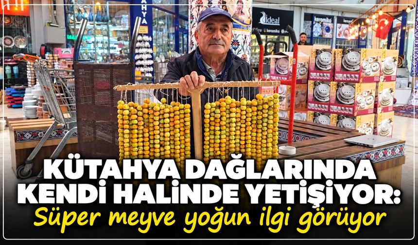 Kütahya dağlarında kendi halinde yetişiyor: Süper meyve yoğun ilgi görüyor