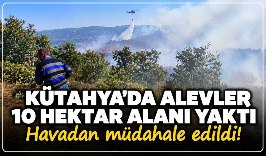 Kütahya'da alevler 10 hektar alanı yaktı: Havadan müdahale edildi!