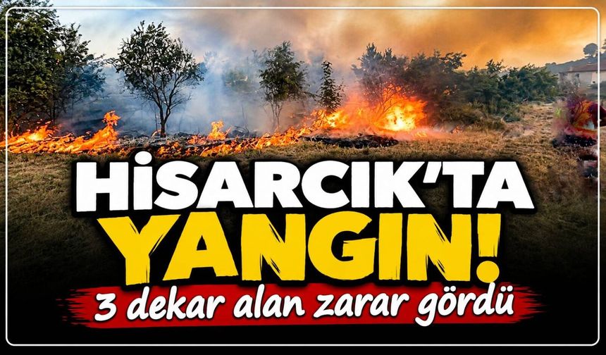 Kütahya'da korkutan yangın: 3 dekar alan küle döndü