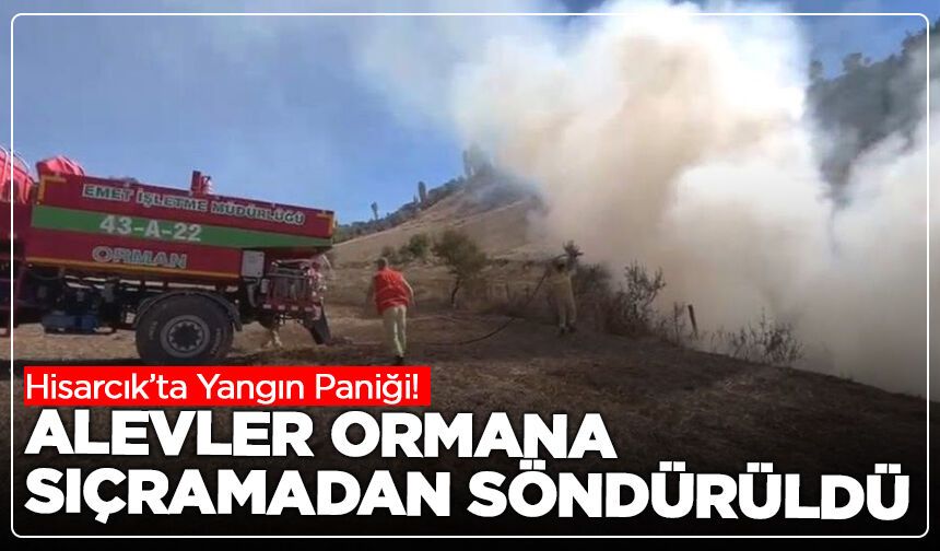 Hisarcık’ta Yangın Paniği! Alevler Ormana Sıçramadan Söndürüldü