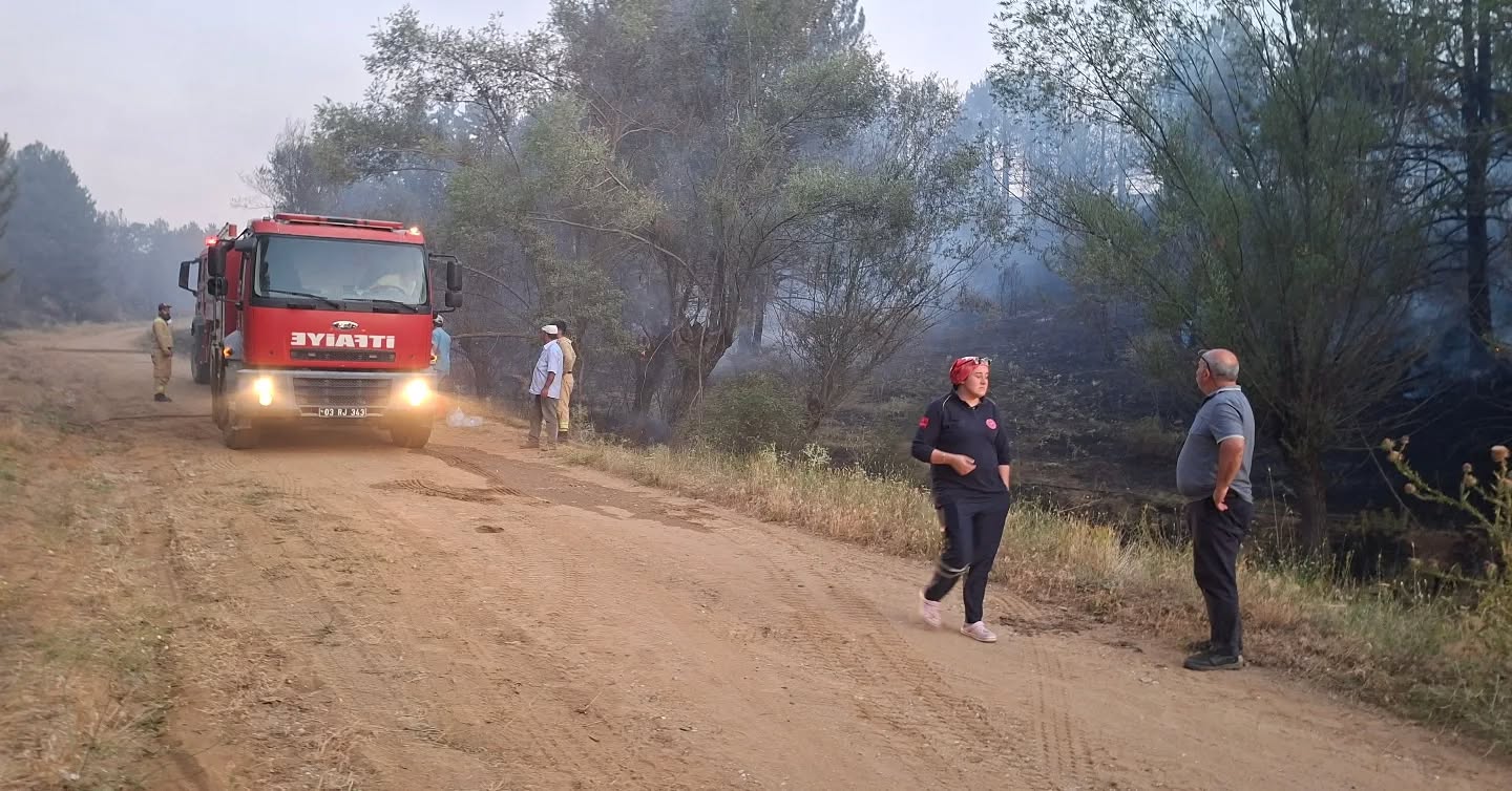 Dumlupınaryangın