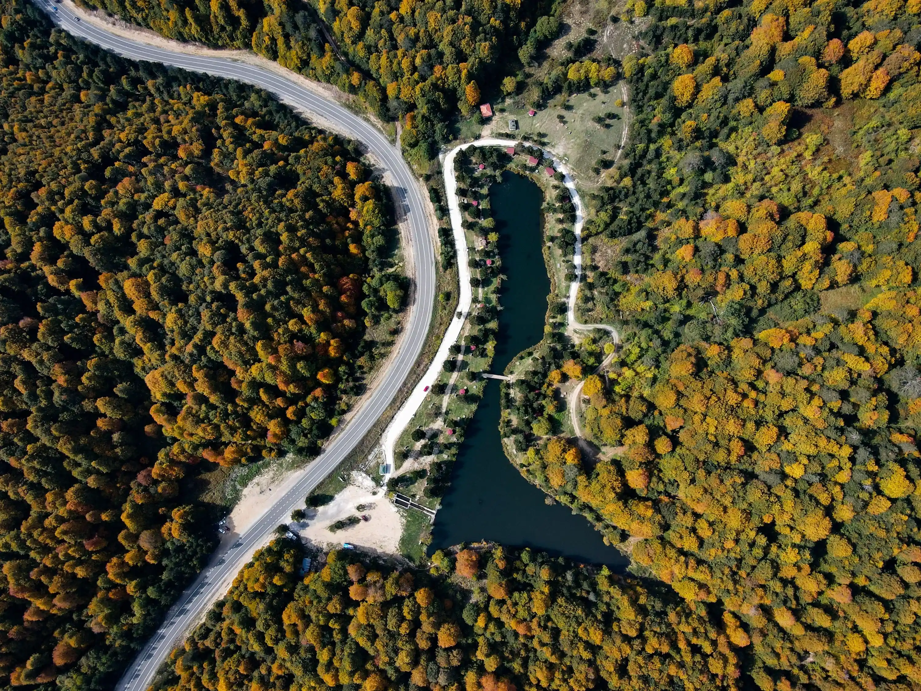 Karaçam Ormanları