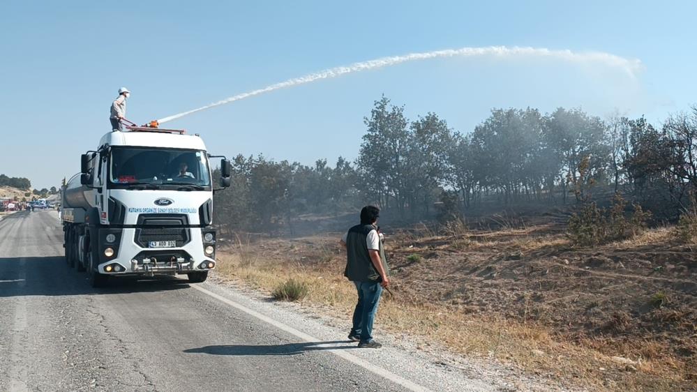 Kutahyayangını2