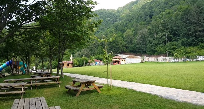 Piknik2