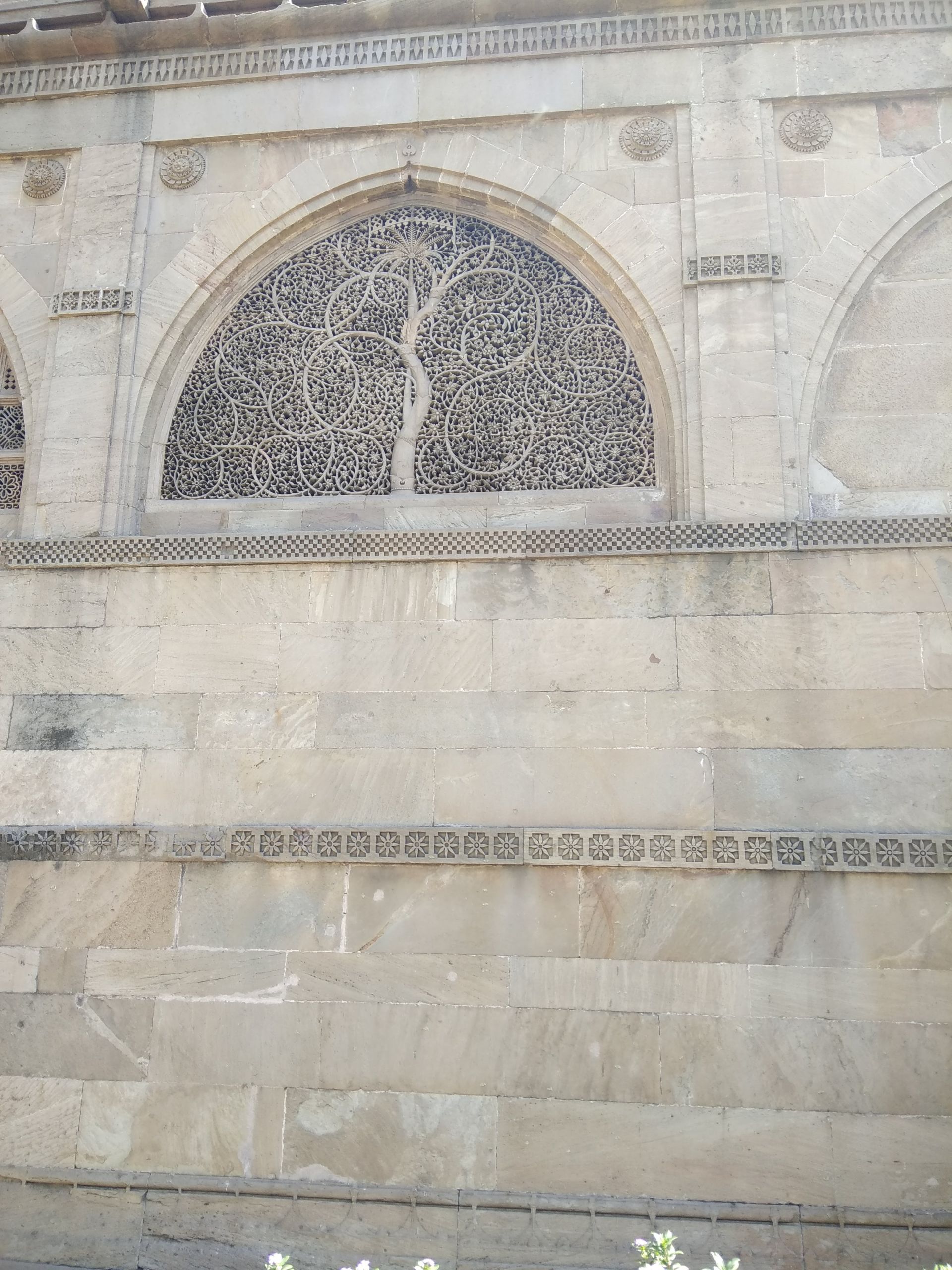 Sidi7