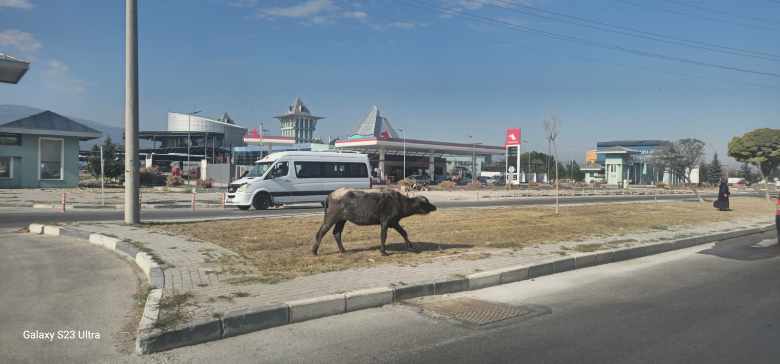 1Ec3Fcbb C891 4762 89F7 945B2494E713