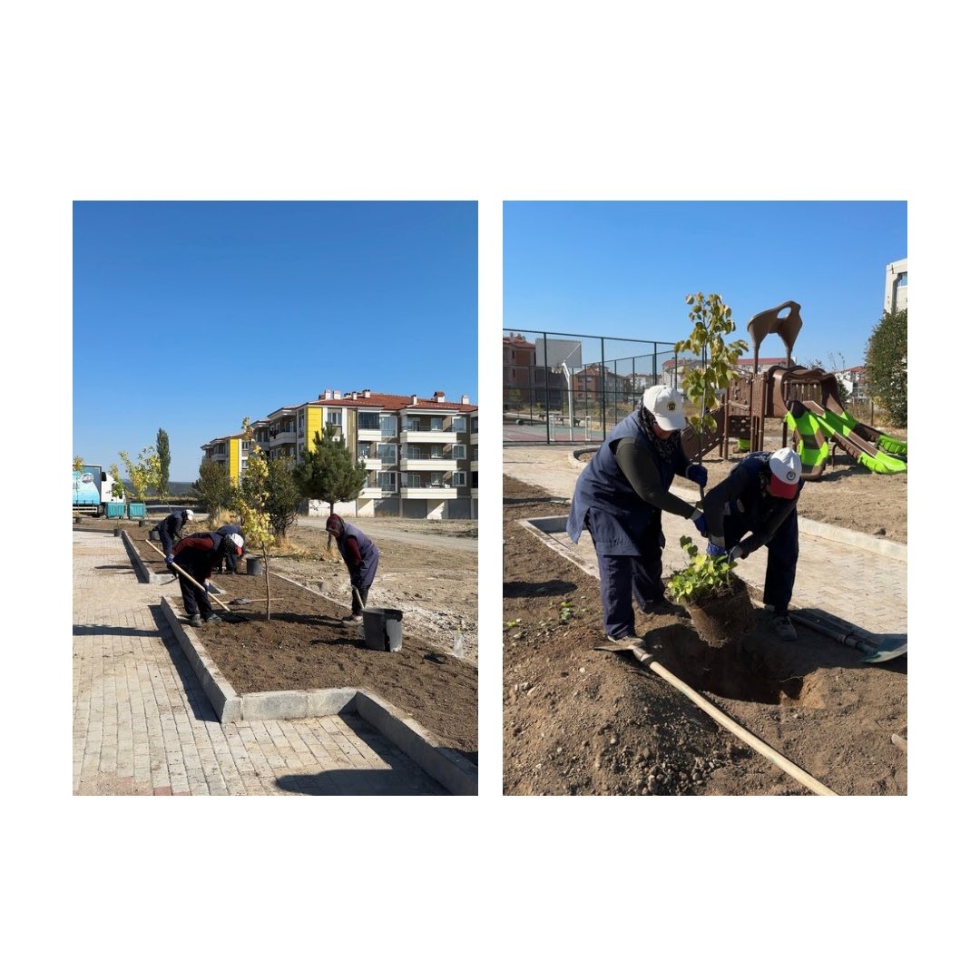 29Bf0565 69F6 4E02 A958 5A476E6B8B89