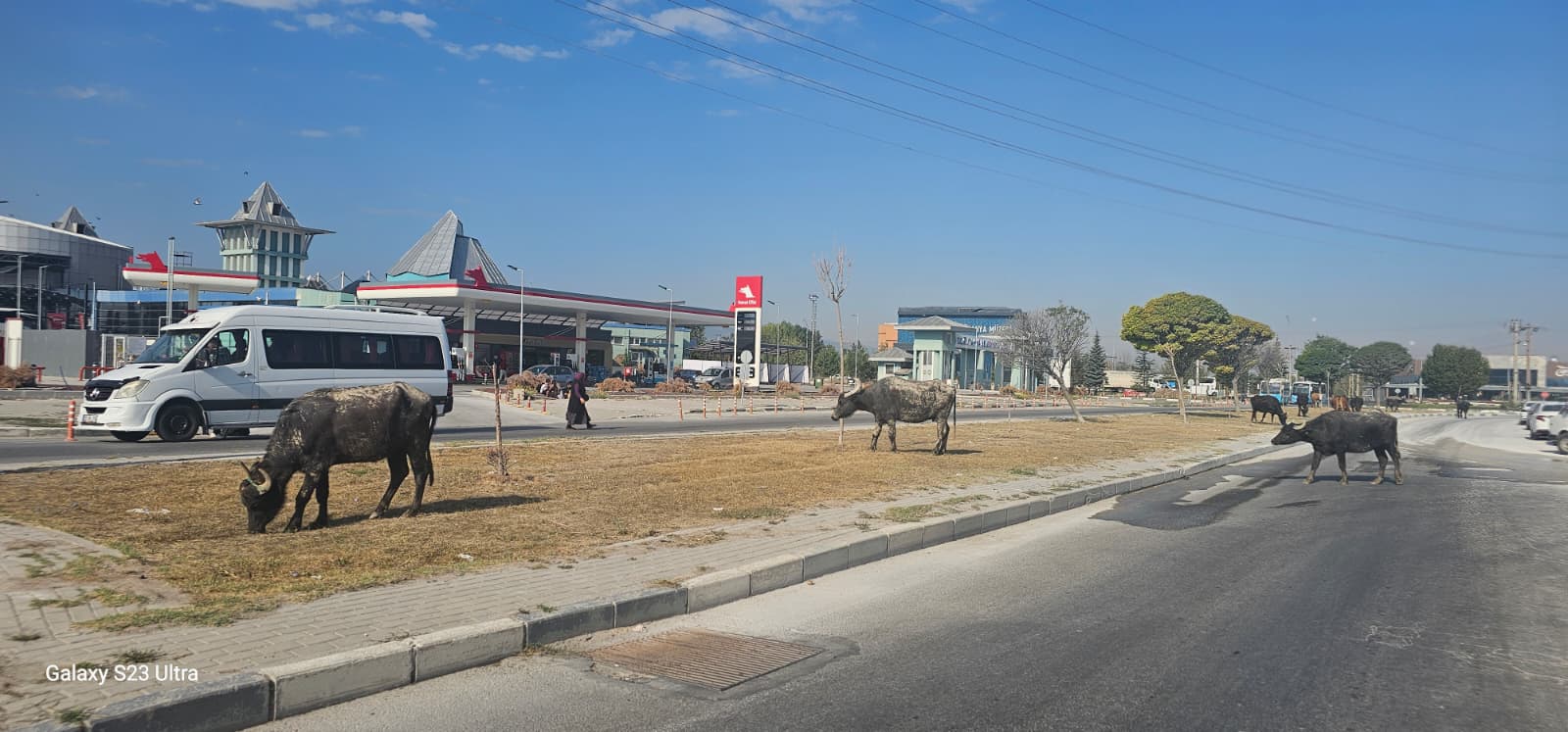 537A502D 64C9 432E 9893 3E4Ffa25B2E5