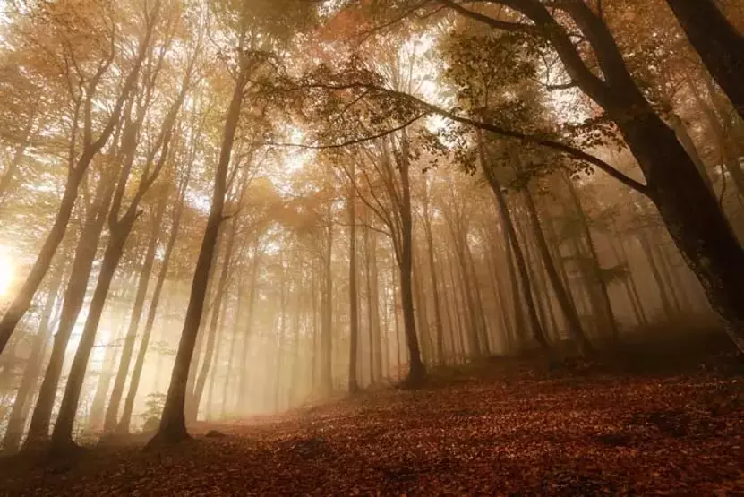 5Fa7C49C214Ed80008B13C97