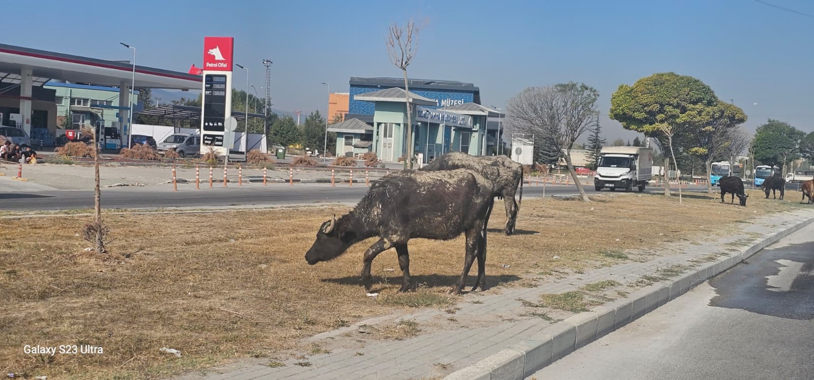 91Df732B 448A 4B64 936A 15F9C7B305E7