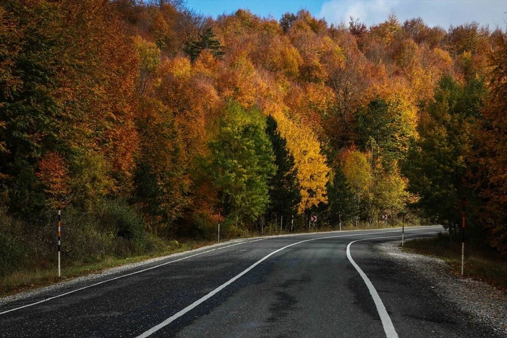 B N T Mlpw1Y0 G11L V I P Vsr5G