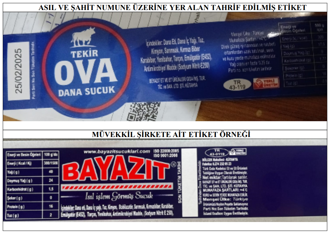 Bayazıt