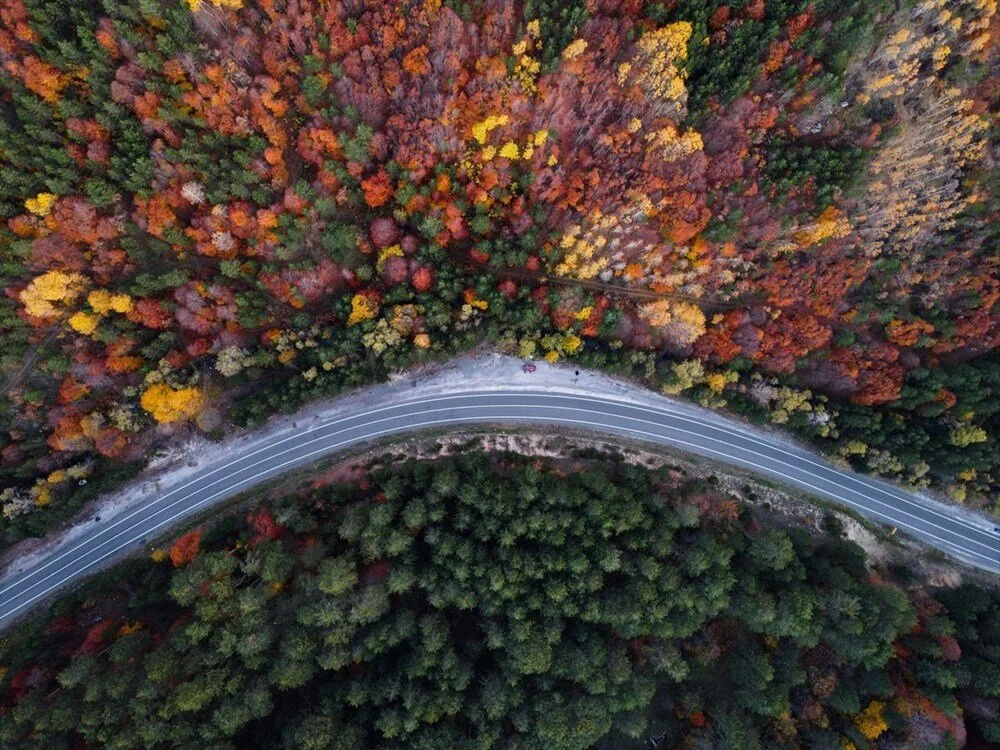 Fn Ql3 G Ypkk Gyiveo34 D M Aw