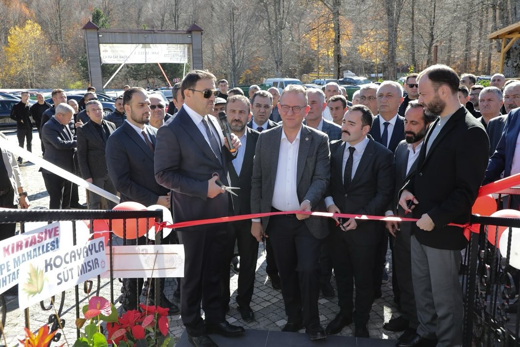 119C5B4E F5B7 44B2 A467 66685Dbddd87