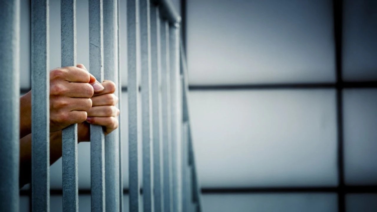 1C0Bba8F 94Ed 4A7F B5Bc 8Fbf11B8A40D