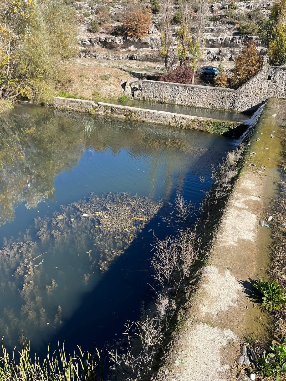 9012C825 1B5D 45B2 9Ee3 67C47410507A