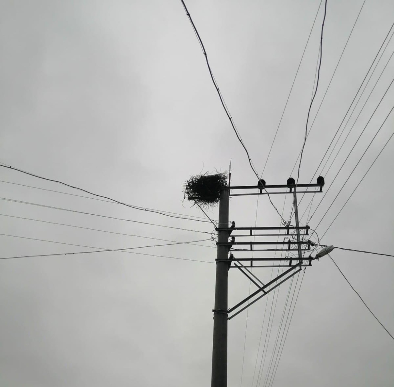 A756D37D 6F0F 48D8 A1C5 Cc25D1532B6B