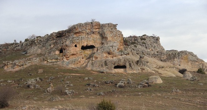 Fvadisi