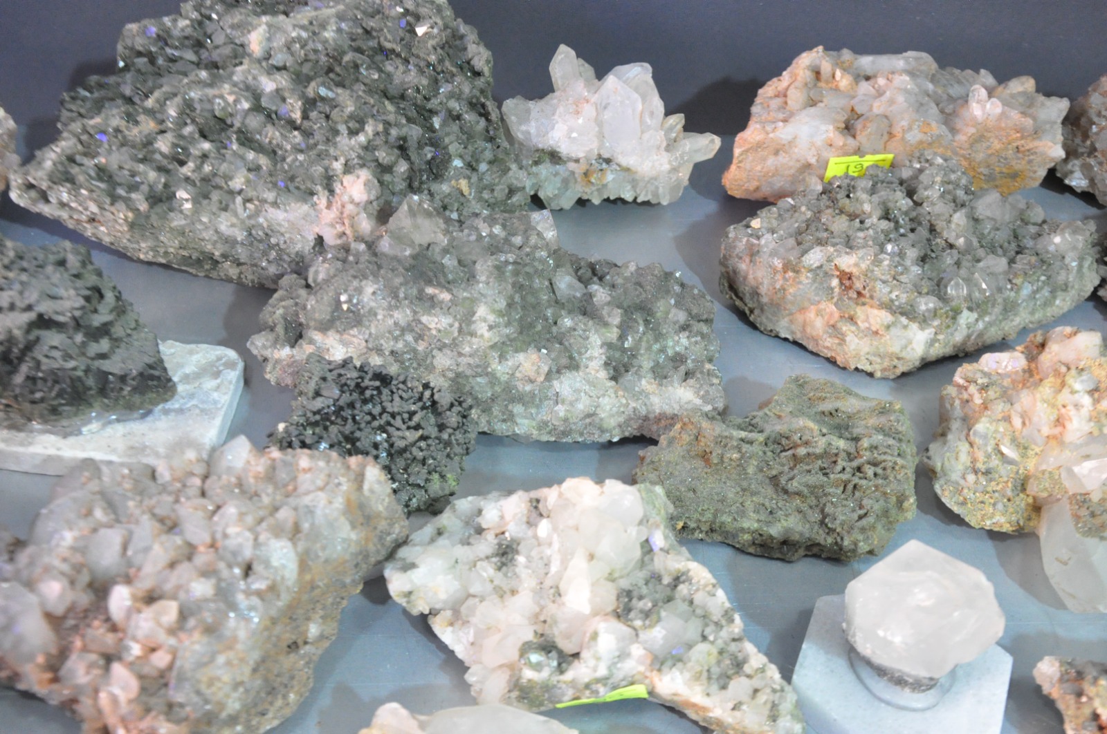 Whatsapp Image 2025 10 31 At 2.01.48 Pm (1)