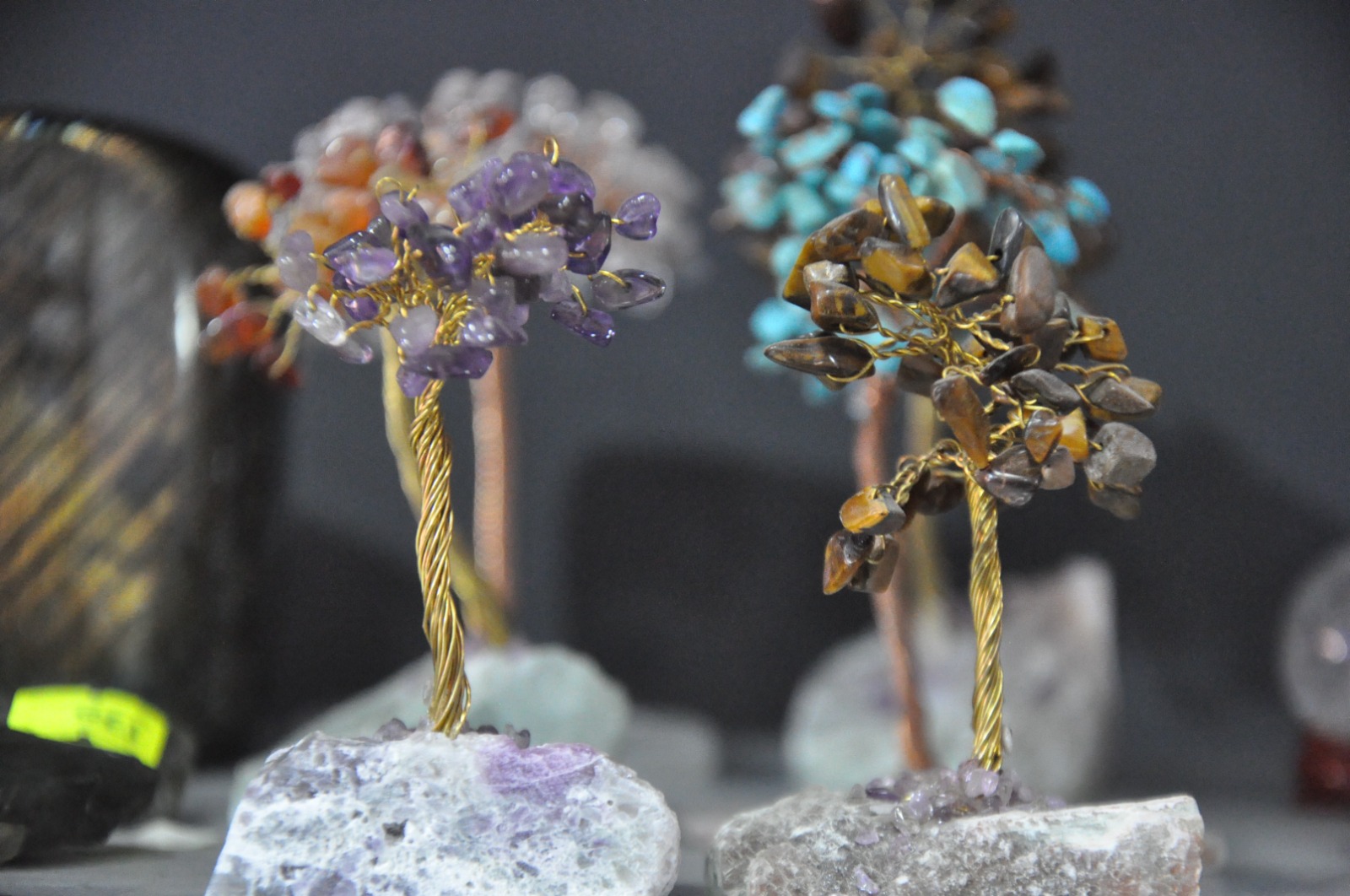 Whatsapp Image 2025 10 31 At 2.01.48 Pm (3)