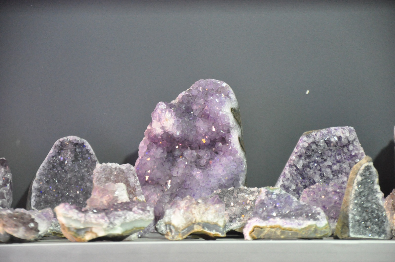 Whatsapp Image 2025 10 31 At 2.01.50 Pm