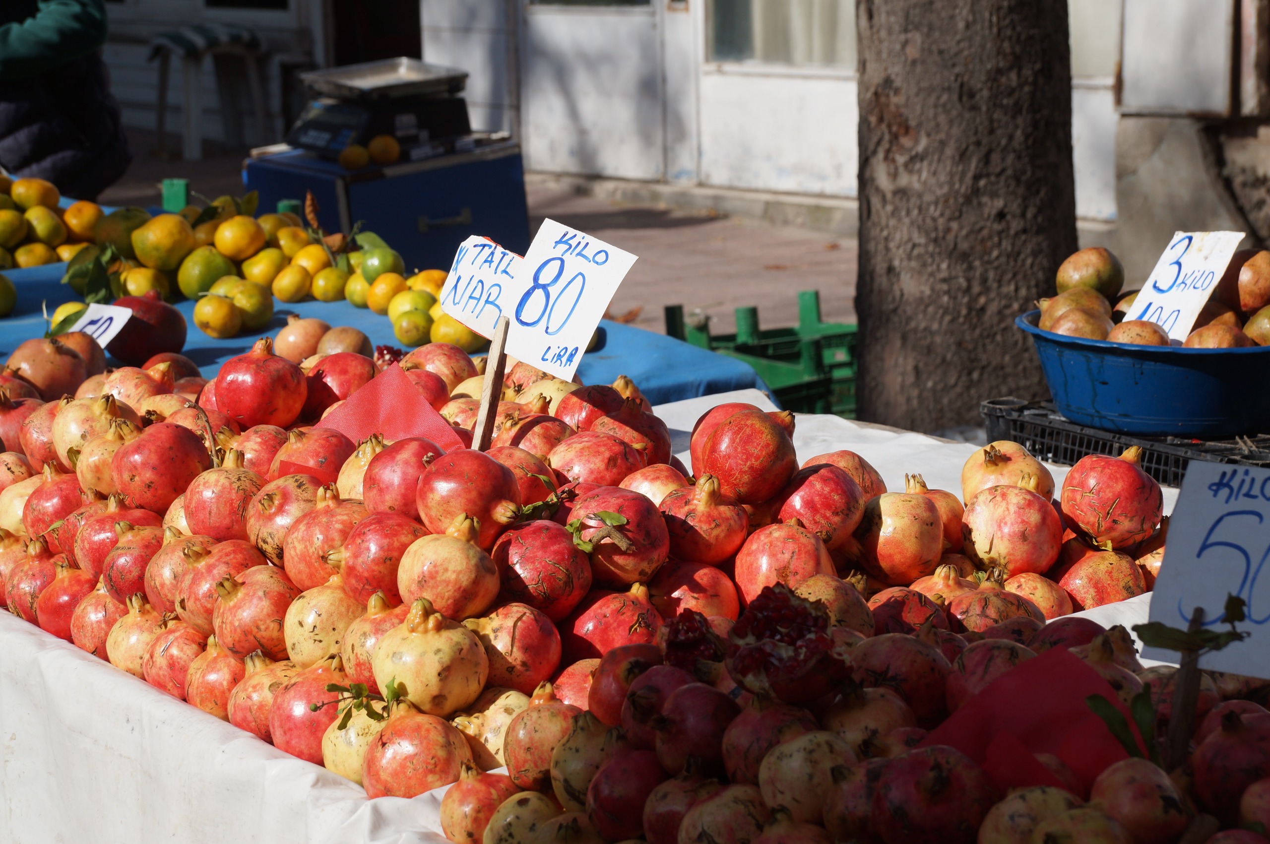 013200D1 61E7 483B B092 853E36D8Af7B