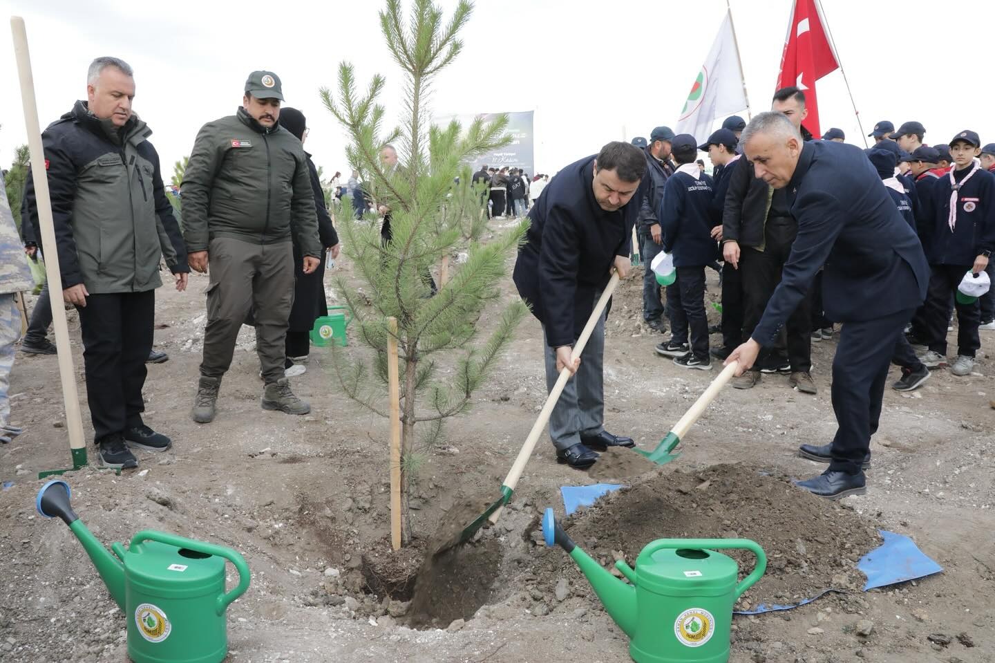 018Aa337 1347 40F8 B9E7 1A6B902Abf43