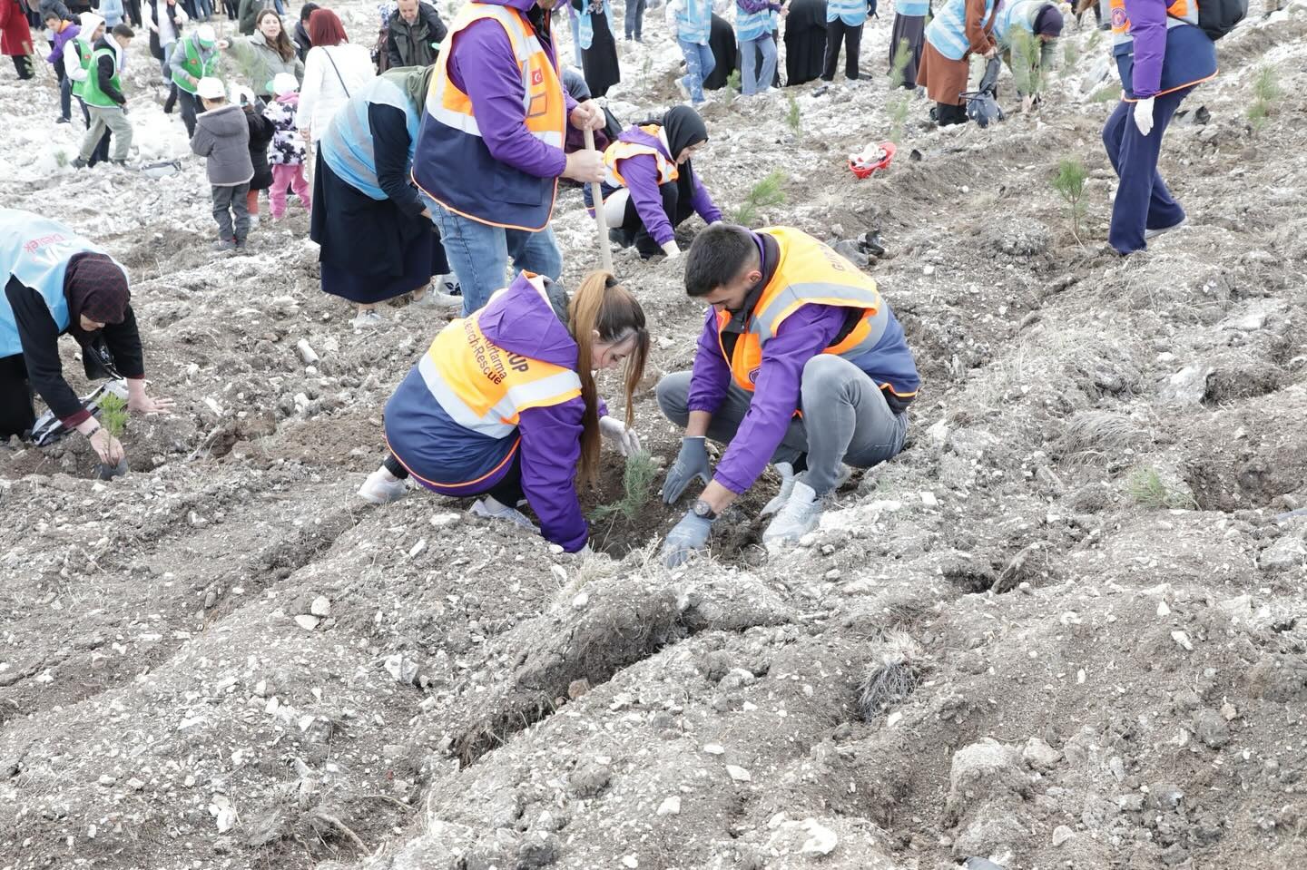 027E6385 152C 4065 Aa11 14709D87B09B