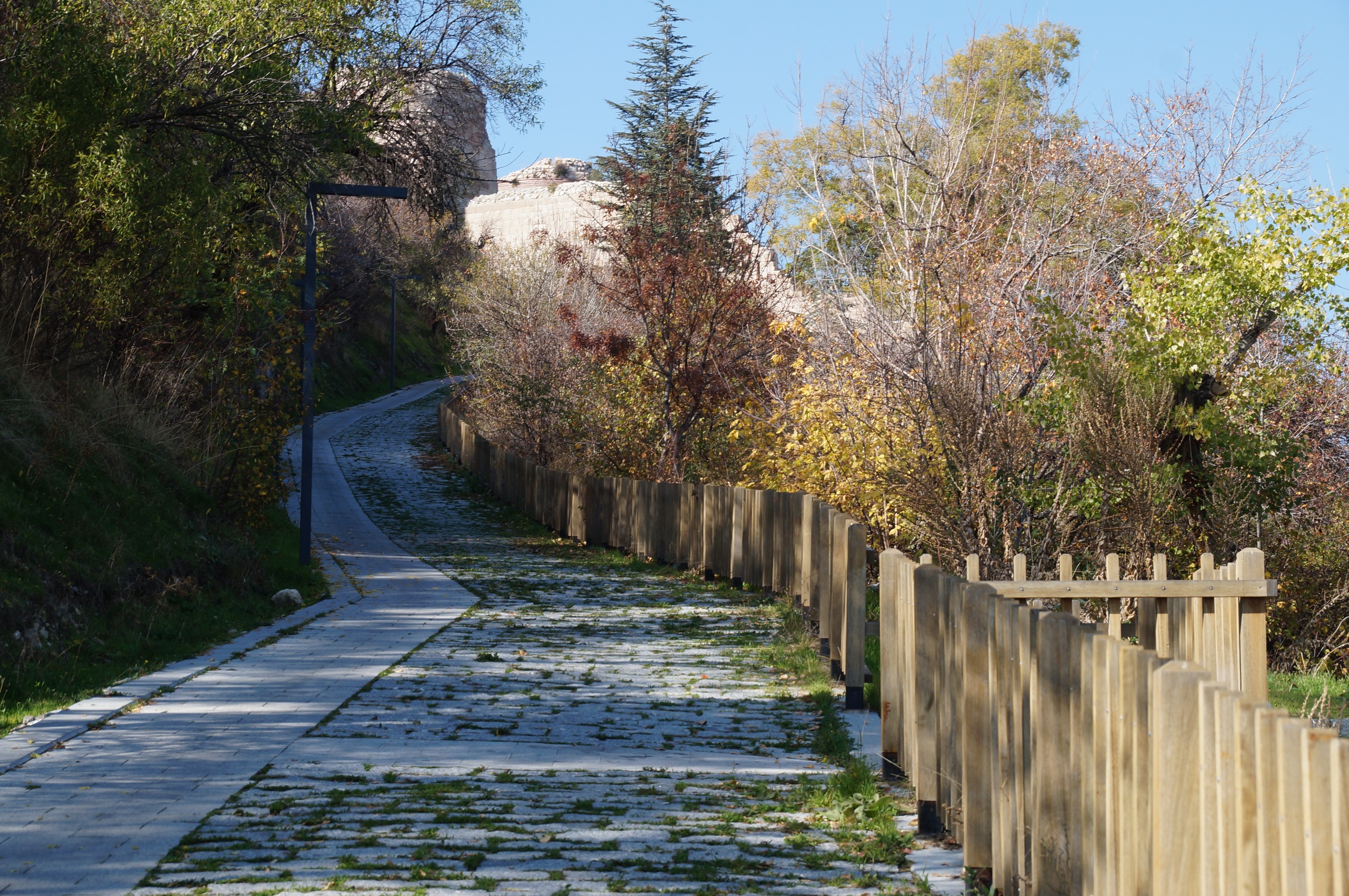 02F8F61A 7Ba9 401F 89Db 1F9F014E20F8