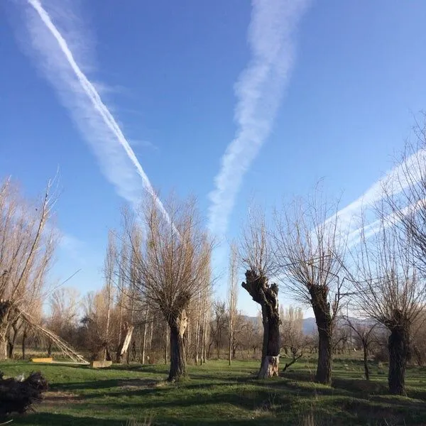 130760601 Apvtq0Fhoj0Arjrvwmd2H5Awawlxpqw9O1719Ghoraq