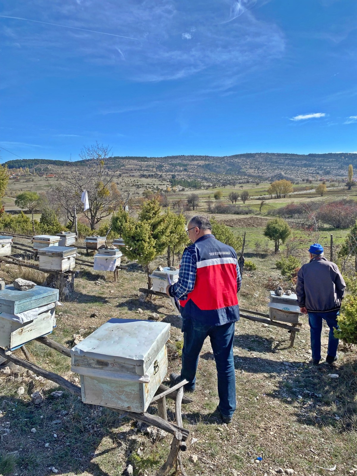 267B8494 1E1D 4238 837E Cad169C758C2