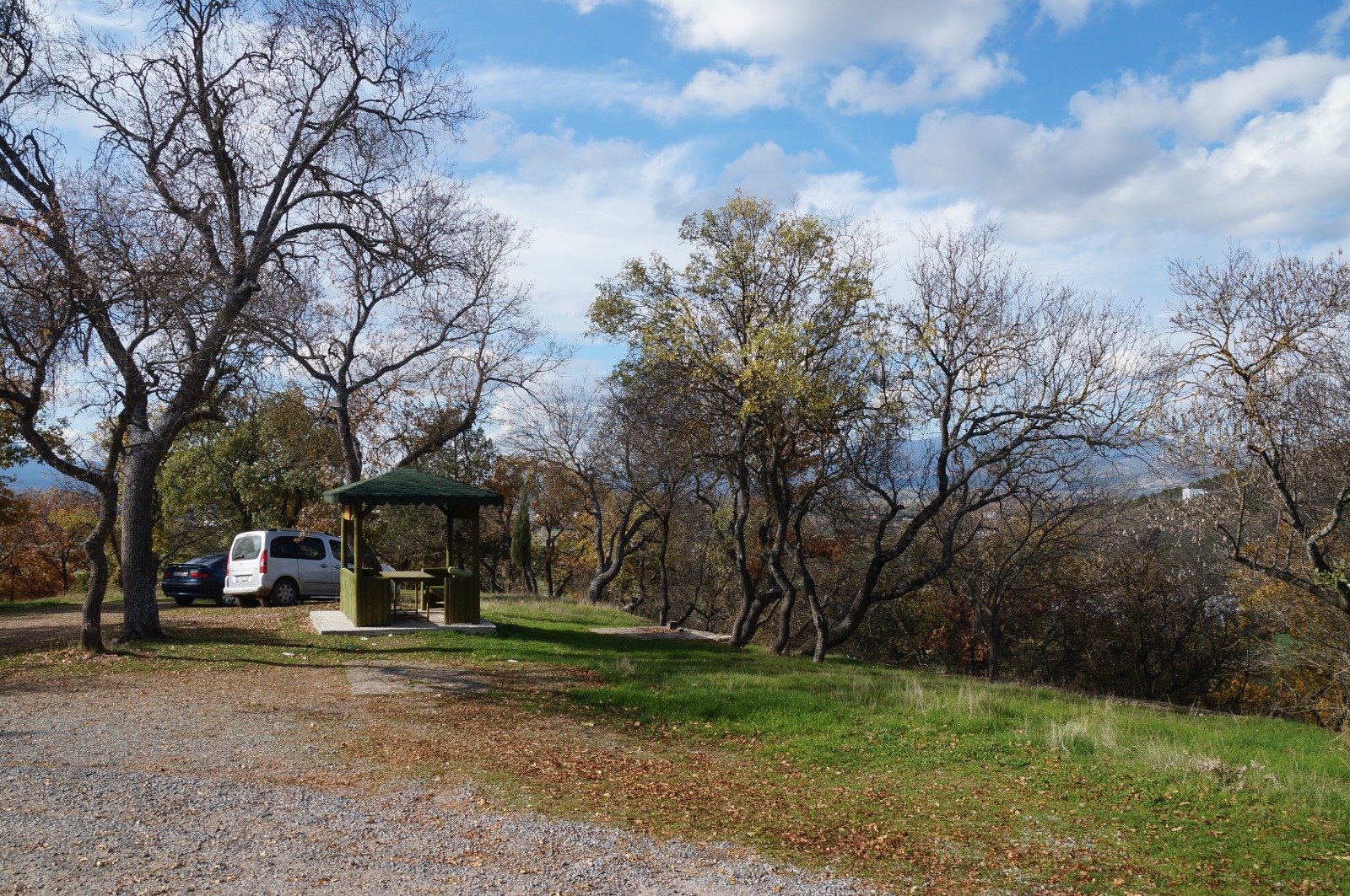 26B50355 5E81 4A8D B8Af 590E7818Ea1F