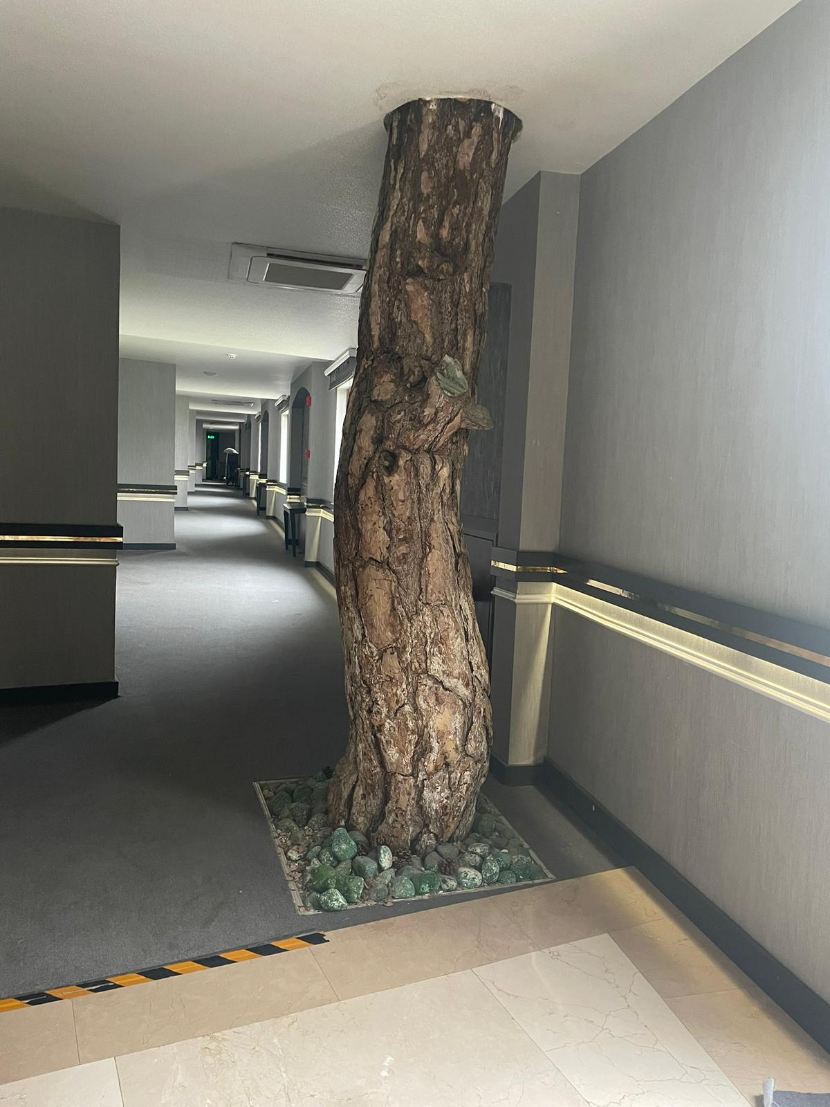 2F6F1C0F 3B14 40D9 A9Ae 5F2C6553C838